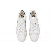 V 12 VEJA 'White Marsala Nautico'