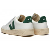 V 12 VEJA 'White Cyprus'